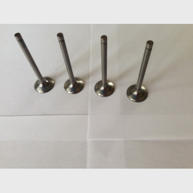 Exhaust valve kit PN CB400-4EV4E